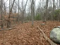 P1120018.webp