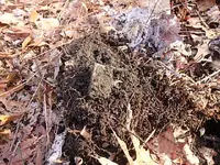 P1120001.webp