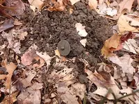 P1120027.webp