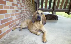 KINDLE_CAMERA_1401906059000.webp