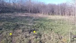 IMG_20160207_133951.webp