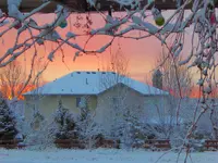 cold day 022316.webp
