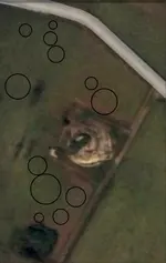 Screenshot3-zoom-Backwoodsbob.webp