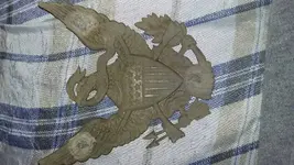 1455574957725.webp