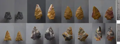jasper cache.webp