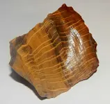 DSCN1350.webp