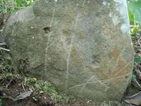 DSC06323.webp