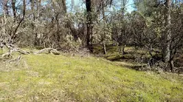 IMG_20160220_102052445.webp