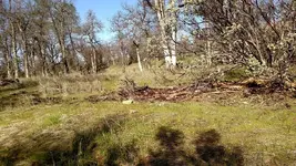 IMG_20160220_102100577.webp