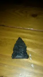 1455586545437.webp