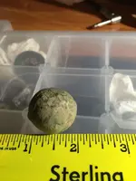 ImageUploadedByTreasureNet.com1454977346.675872.webp