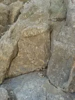 307.webp