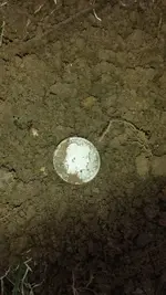 20160208_114056.webp