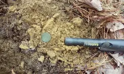 First Copper of four.webp