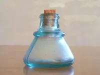 DSCF5655.webp