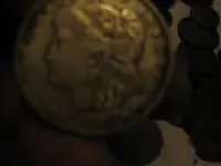 morgan silver dollar 004.webp