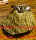 Doc Beav 2016 Gold Ring #2.webp