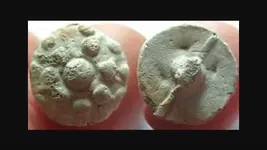 ImageUploadedByTreasureNet.com1452715134.239866.webp