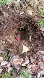 20160208_093751.webp