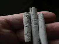 queen anne pipe stem1a.webp queen anne pipe stem1a.webp
