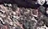 tdsf.webp