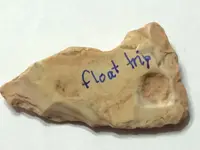 ImageUploadedByTreasureNet.com1451619526.840510.webp