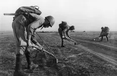 mosin-rifle-mine-detectors-1615.webp