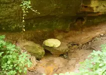 rock cropped 650.webp