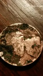 1453526835524.webp
