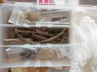 DSCN1596.webp