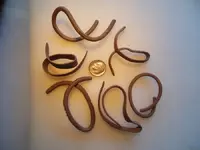 DSCN1590.webp
