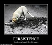 funny Dog pictures with quotes (240).webp funny Dog pictures with quotes (240).webp