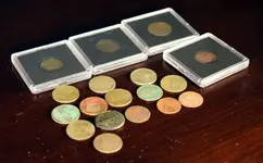 new-12.webp