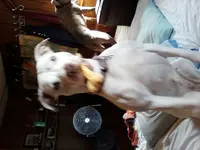 0401150938.webp 0401150938.webp