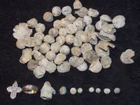 DSCN1709.webp