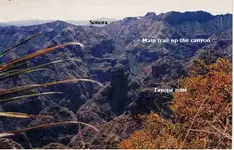 Tayopa red desert.webp