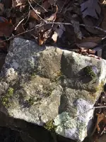 ImageUploadedByTreasureNet.com1452741993.632423.webp
