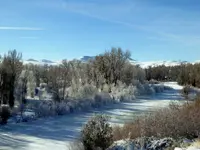 011316 1.webp