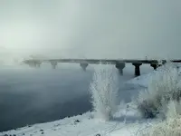 011316 2.webp
