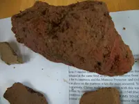 100_4287.webp