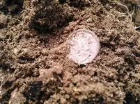 herlong1516i.webp