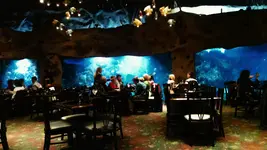Aqua 12.webp