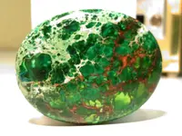 jungle agate_2 (1).webp