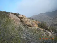 DSCN7257.webp