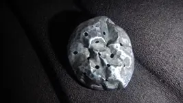 DSCN1268.webp