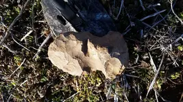 20160130_161050(1).webp