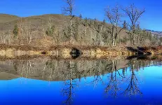 MPFOUR_edited-1.webp