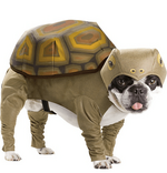 Tortoise-Dog-Costume.png