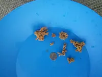 IMG_20160107_142037.webp