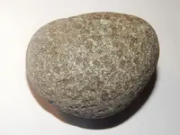 DSCN1411.webp